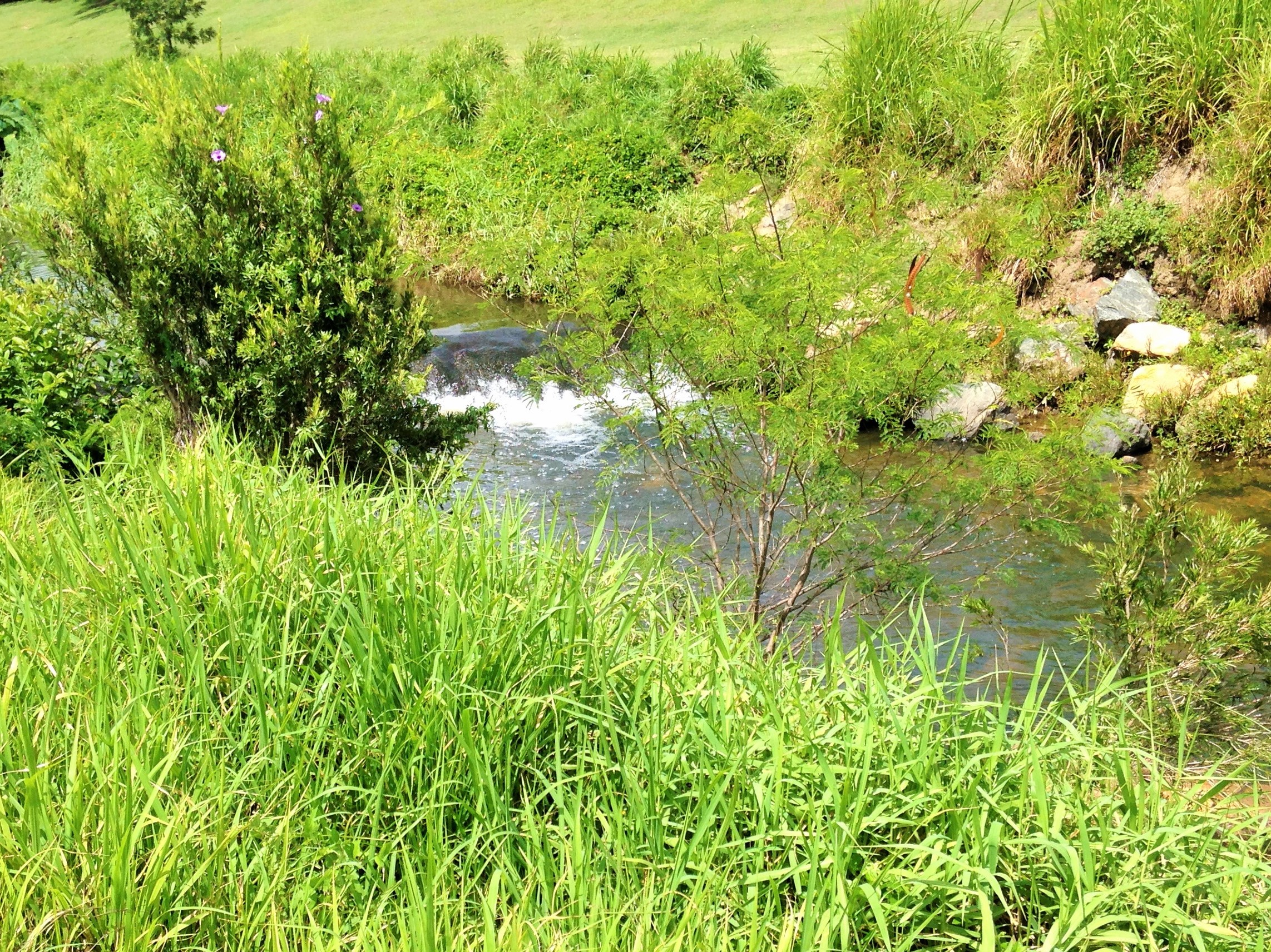 Kedron Brook Bikeway