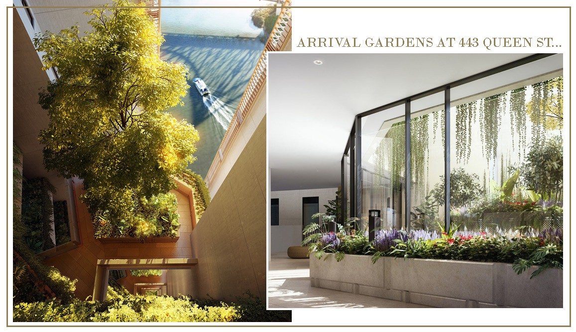443 Queen Street sub-tropical design gardens