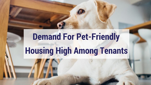 Demand For Pet Freindly Apartments High