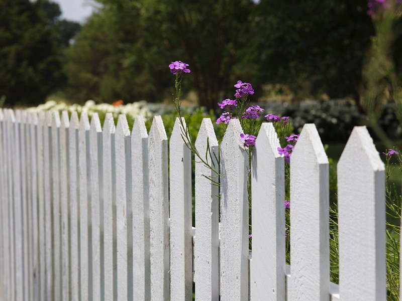 Fencing. Things to know before you build.