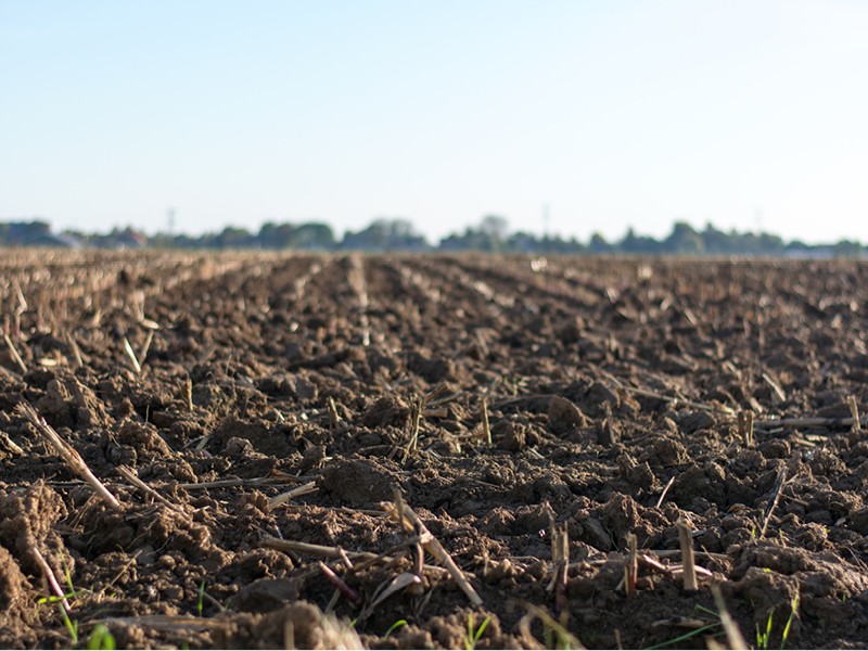 Soil quality. Things to know before you build.